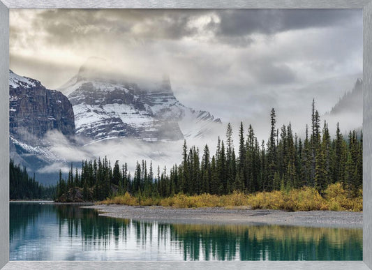 Morning in the Rockies - Poster / Art Print