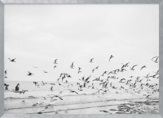 Seagulls - Coastal black and white - Poster / Art Print