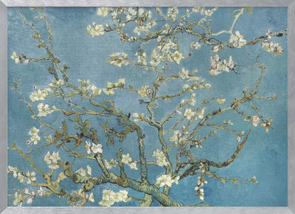Vincent Van Gogh's Almond Blossom (1890) - Poster / Art Print