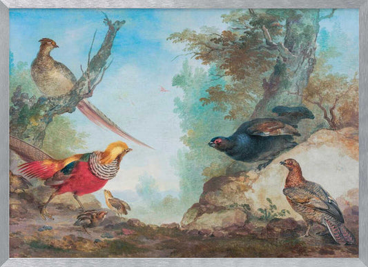 Pheasants - Poster / Art Print