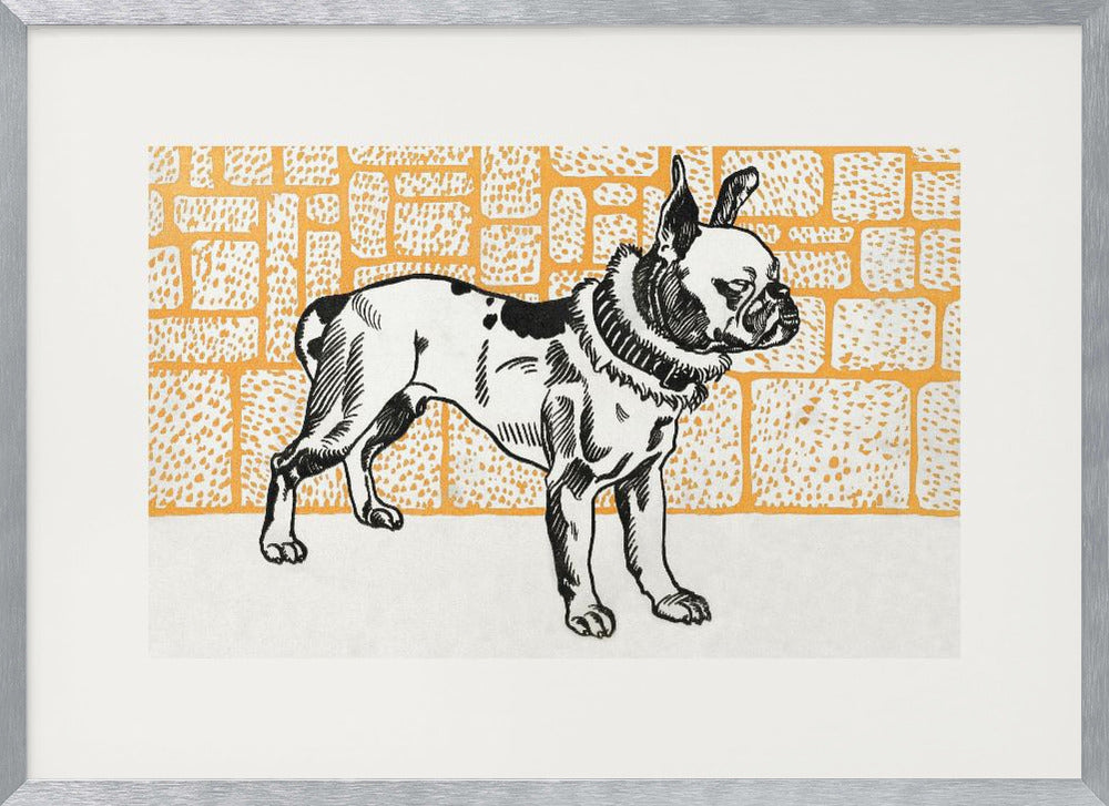 Pitbull Terrier - Poster / Art Print