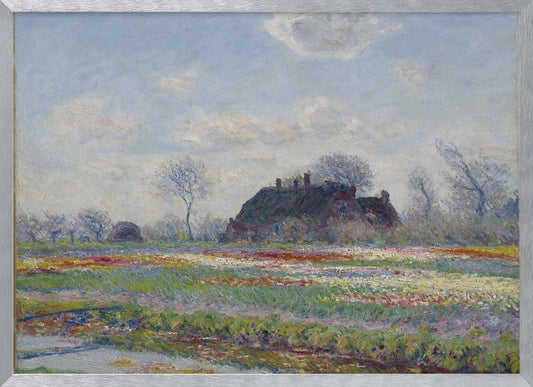 Claude Monet's Tulip Fields At Sassenheim, (1886) - Poster / Art Print