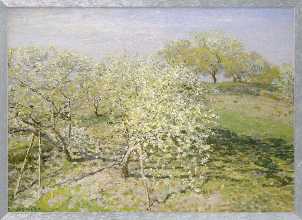 Spring (fruit Trees In Bloom) (1873) By Claude Monet - Poster / Art Print