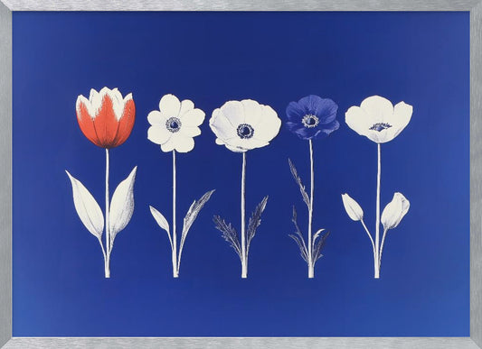 Five Flowers - Poster / Art Print