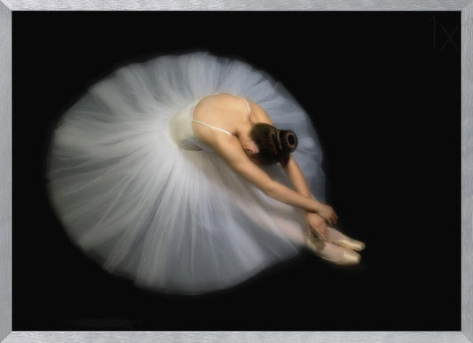 Elegance - Poster / Art Print